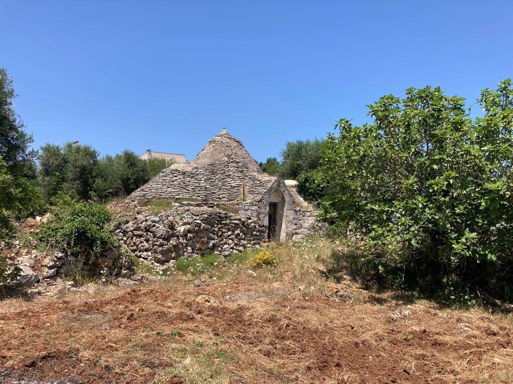 Rustico / casale a Ceglie messapica in Contrada LA SELVA - Foto 5