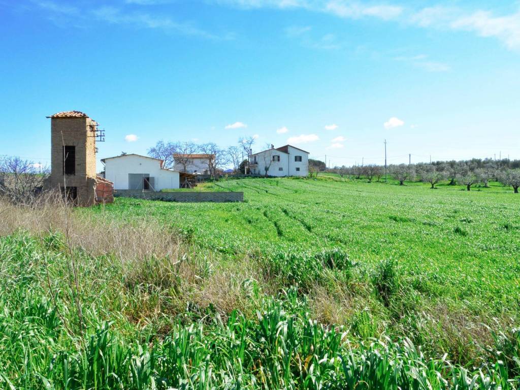 Rustico / casale a Tarquinia in Loc. Pantano di Sotto - Foto 2