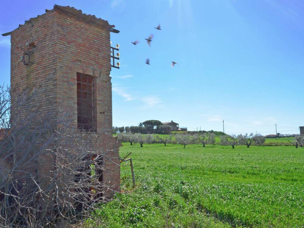 Rustico / casale a Tarquinia in Loc. Pantano di Sotto - Foto 4