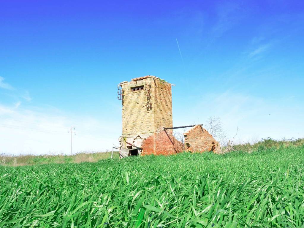 Rustico / casale a Tarquinia in Loc. Pantano di Sotto - Foto 5