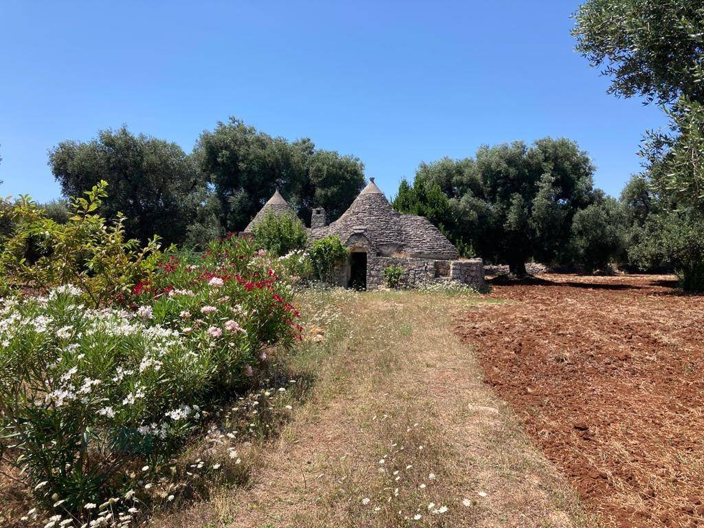 Rustico / casale a Ostuni in contrada RAPIDAROCCIA - Foto 3