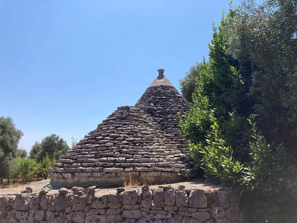Rustico / casale a Ostuni in contrada RAPIDAROCCIA - Foto 4