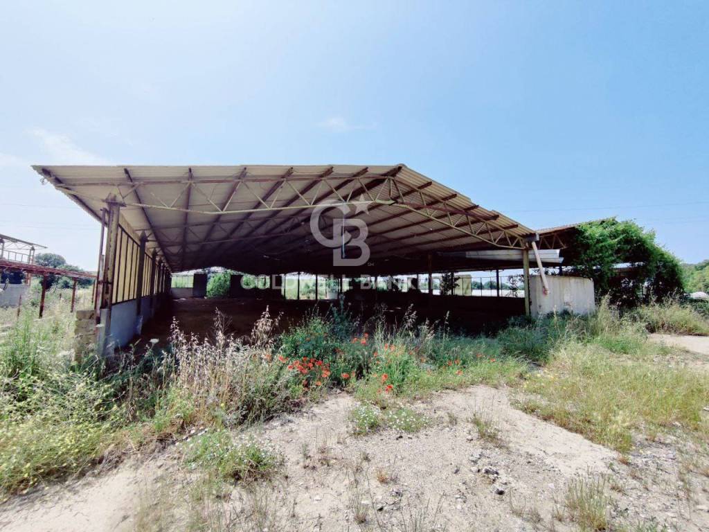Immobile a Montalto di castro in Località Sanguinaro - Foto 2