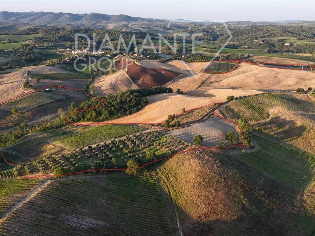 Terreno a Castelnuovo berardenga in Castelnuovo Berardenga - Foto 2