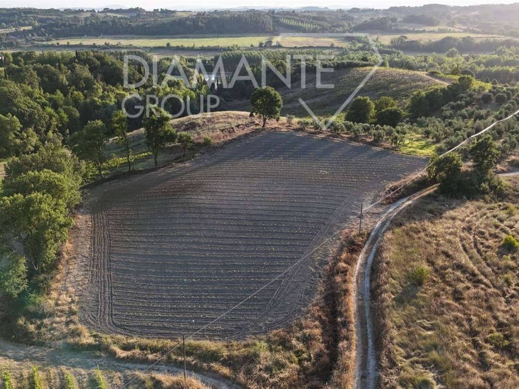 Terreno a Castelnuovo berardenga in Castelnuovo Berardenga - Foto 4
