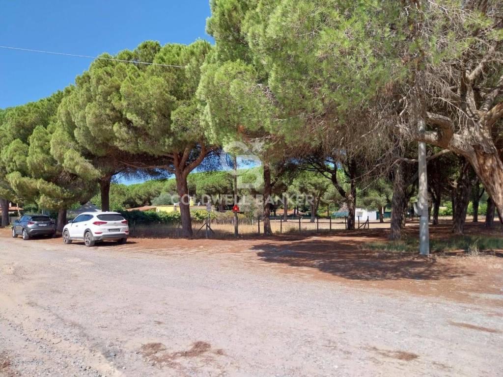 Terreno a Tarquinia in Viale Etruria - Foto 2