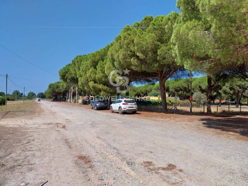 Terreno a Tarquinia in Viale Etruria - Foto 3