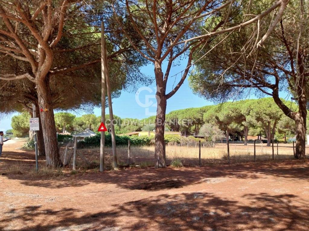 Terreno a Tarquinia in Viale Etruria - Foto 4