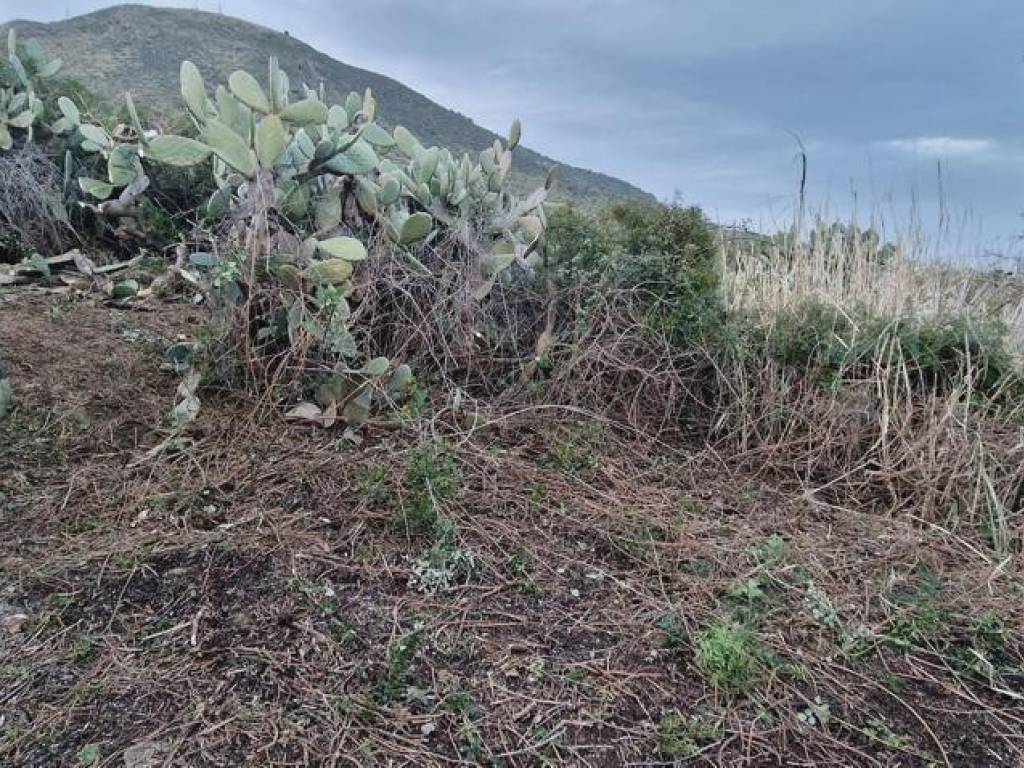 Rustico / casale a Lipari in Località Pianoconte - Foto 4