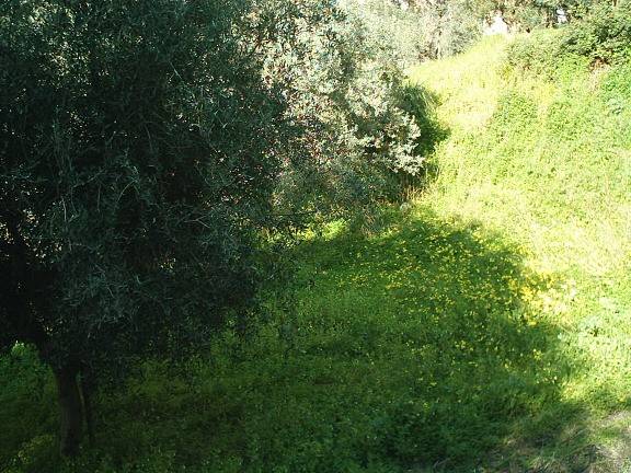 Terreno a Reggio calabria in Via San Sperato - Foto 3