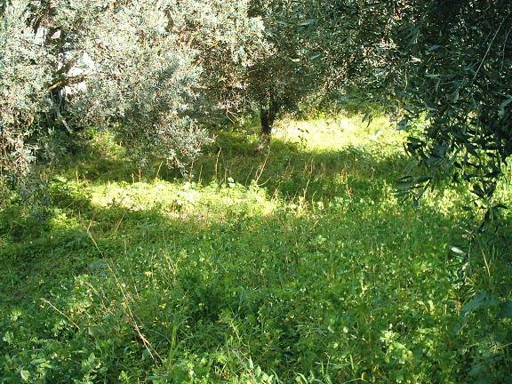 Terreno a Reggio calabria in Via San Sperato - Foto 4