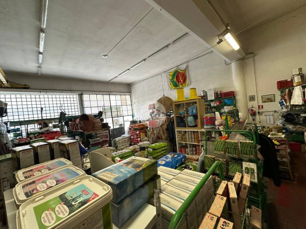 Immobile a Genova in Via delle Fabbriche, 12 - Foto 4