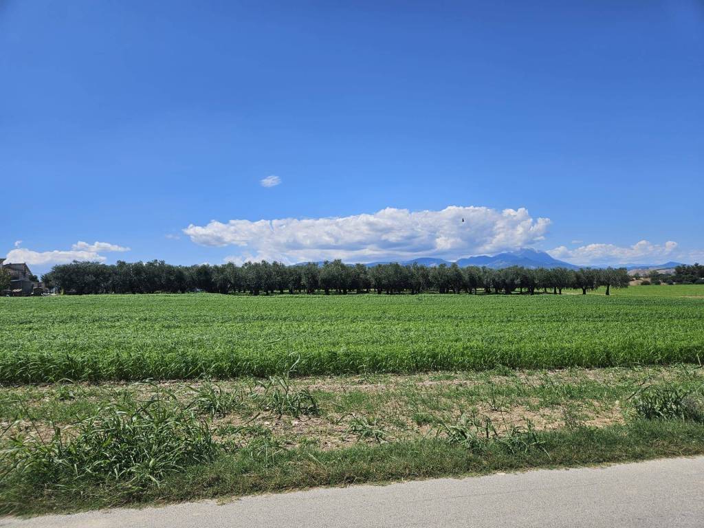 Terreno a Rosciano in Via Milano - Foto 2