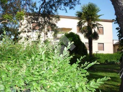 Villa a Isola della scala - Foto 3