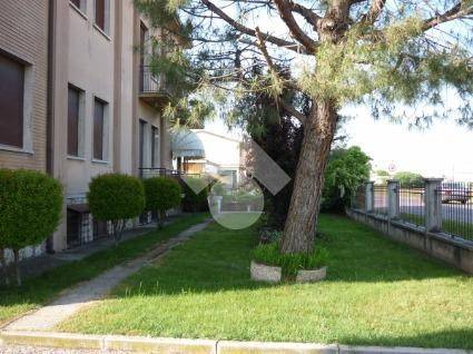 Villa a Isola della scala - Foto 4