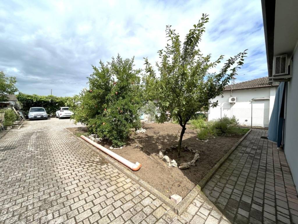 Villa a Isola della scala - Foto 3