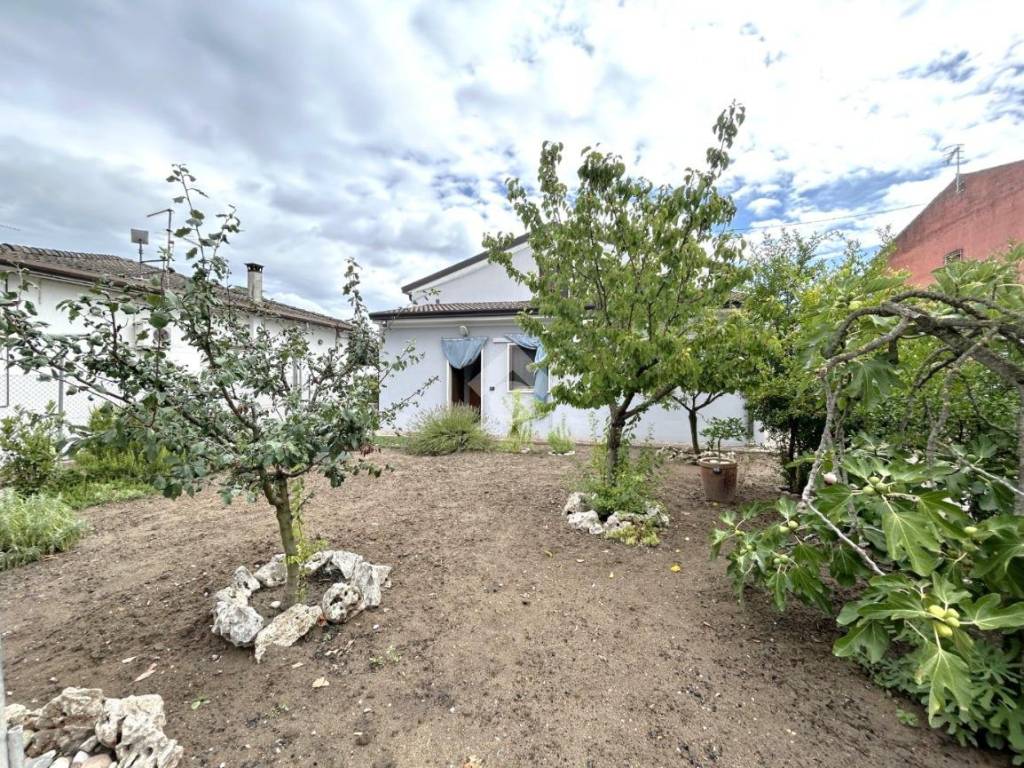 Villa a Isola della scala - Foto 4