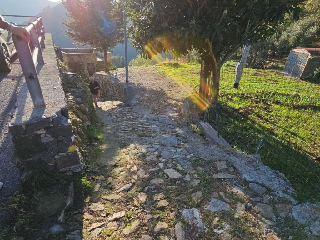 Appartamento a Vezzi portio in Via Campei - Foto 4