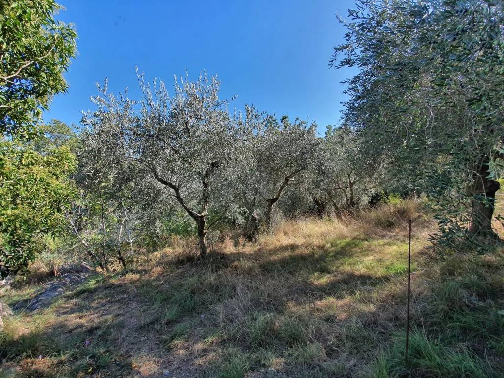 Terreno a Tovo san giacomo in Via Uliveto S.N.C. - Foto 2