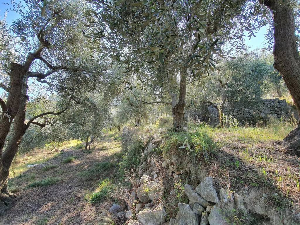 Terreno a Tovo san giacomo in Via Uliveto S.N.C. - Foto 3