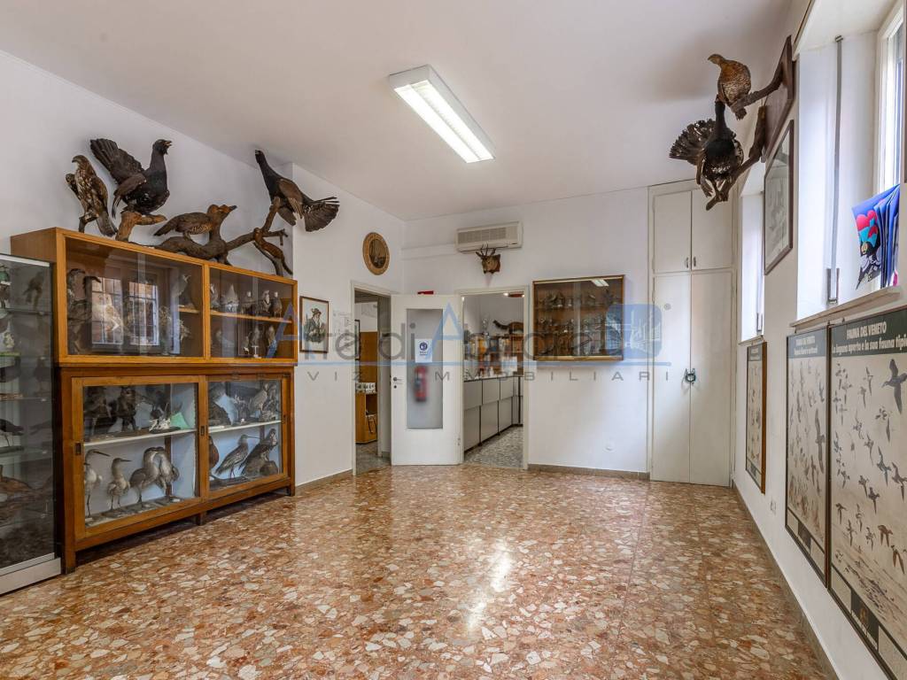Appartamento a Verona in via salici, 7 - Foto 3