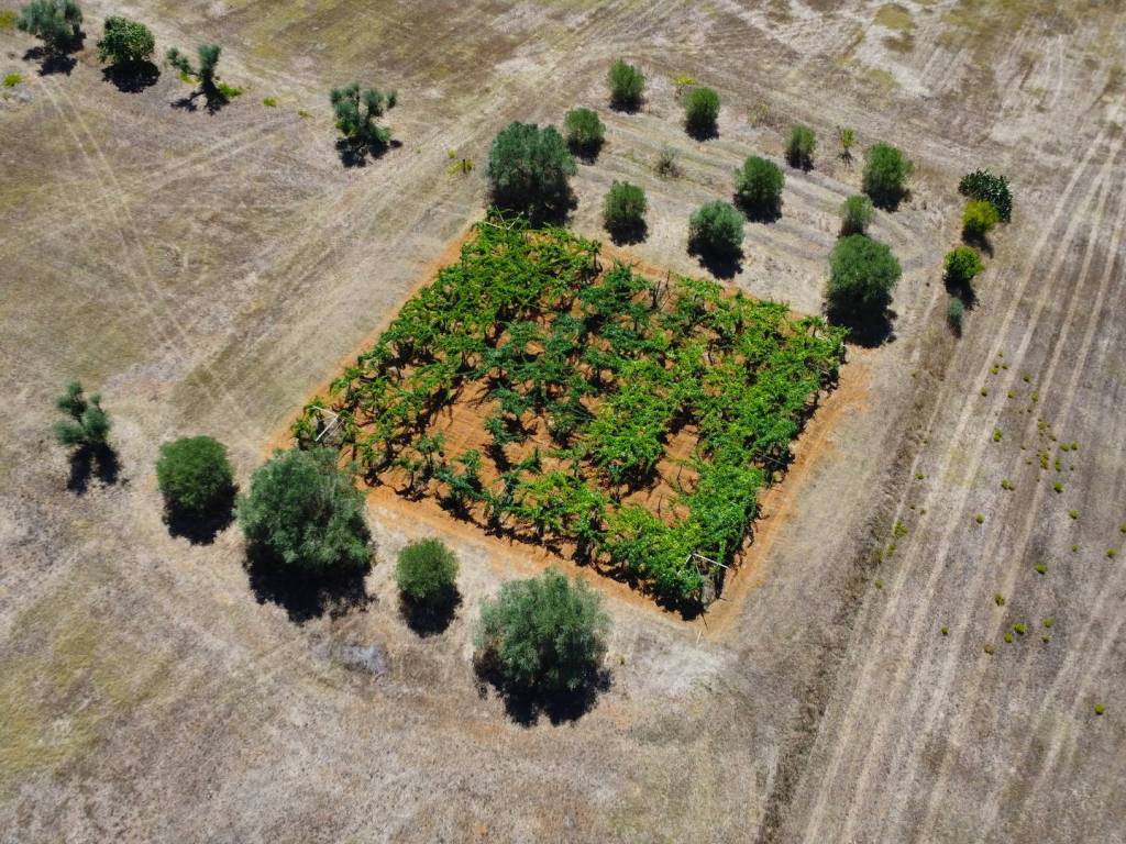 Terreno a Latina in Strada Piano Rosso, 1 - Foto 4