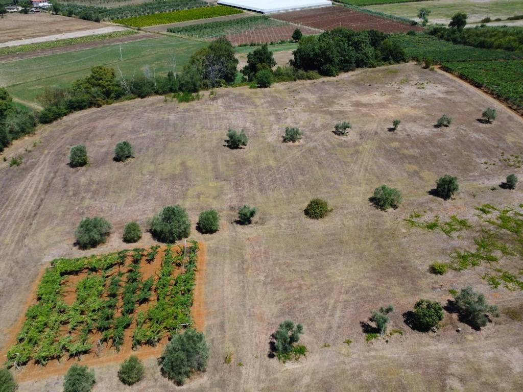 Terreno a Latina in Strada Piano Rosso, 1 - Foto 5