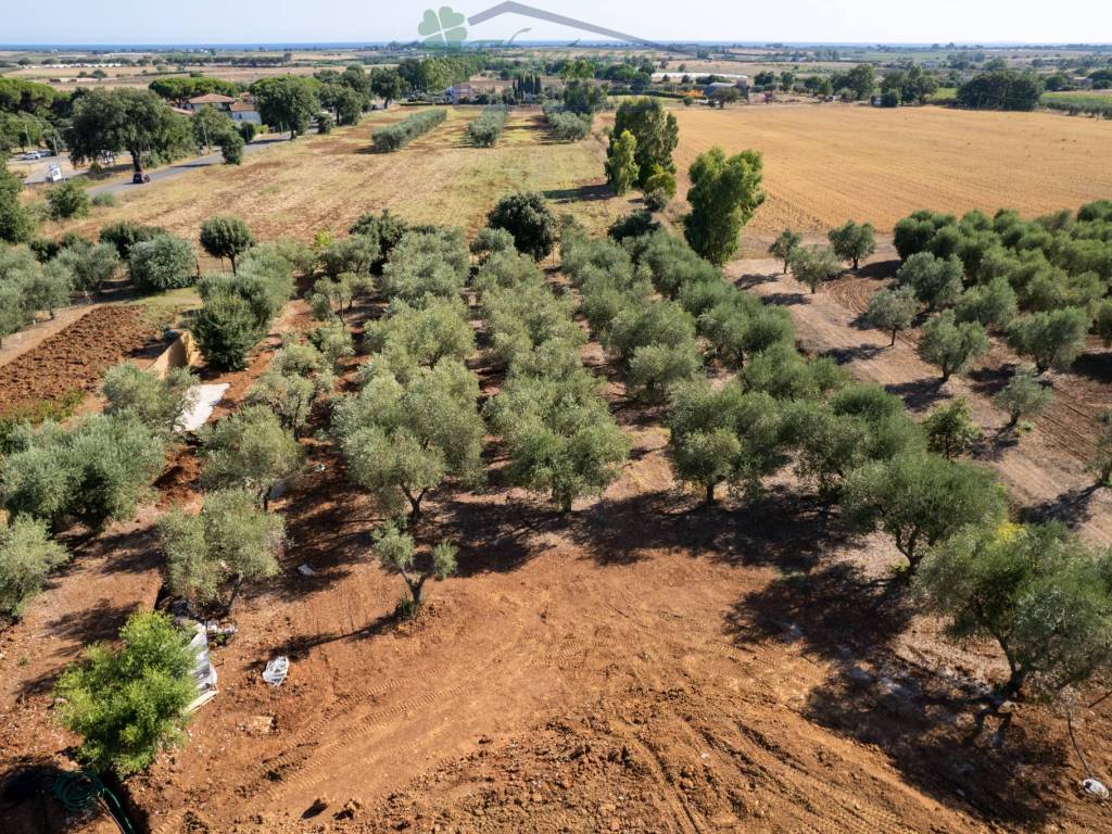 Villa a Capalbio in Strada Barucola - Foto 4