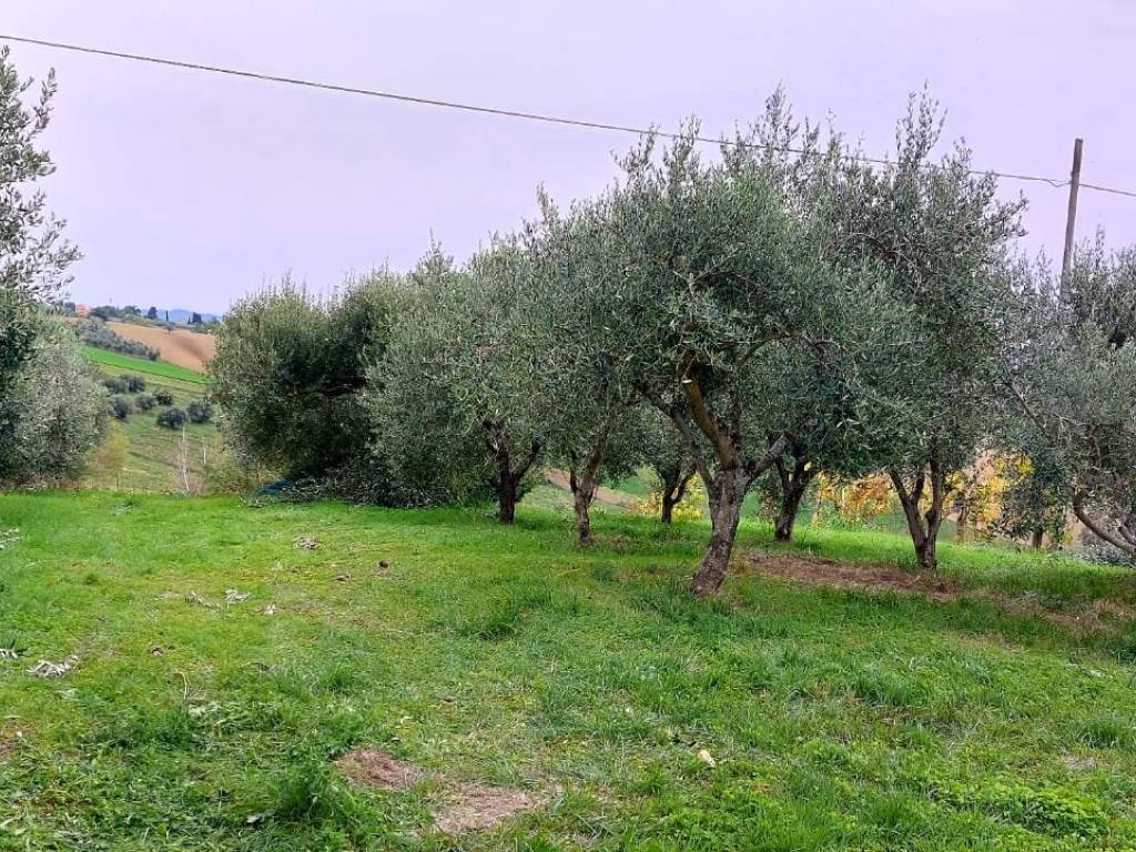 Rustico / casale a Monte san vito in Via Santi Neri - Foto 5