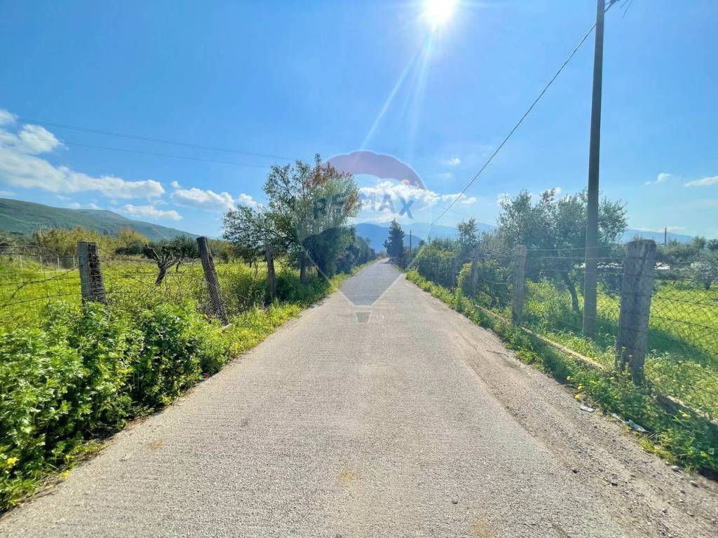 Terreno a Terrasini in Contrada Paterna - Foto 5