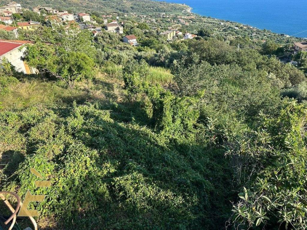 Rustico / casale a Joppolo in Via Agostino Nifo - Foto 4