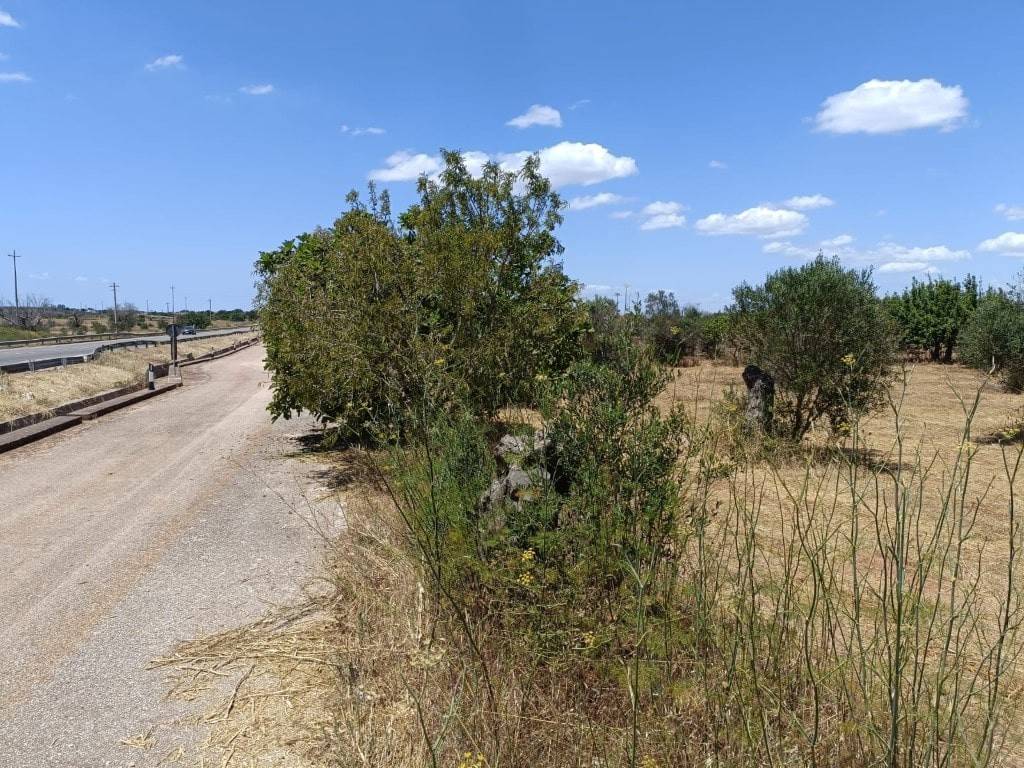 Terreno a Ugento in C.da Vanini, / - Foto 4