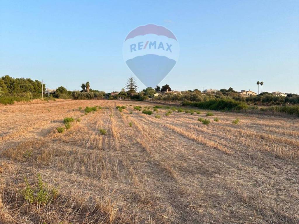 Terreno a Noto in C.DA VIGNALE COFFA - Foto 2