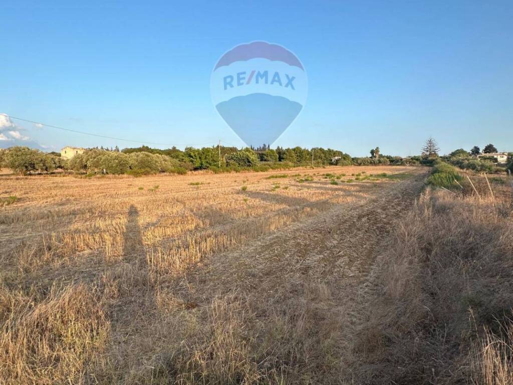 Terreno a Noto in C.DA VIGNALE COFFA - Foto 4
