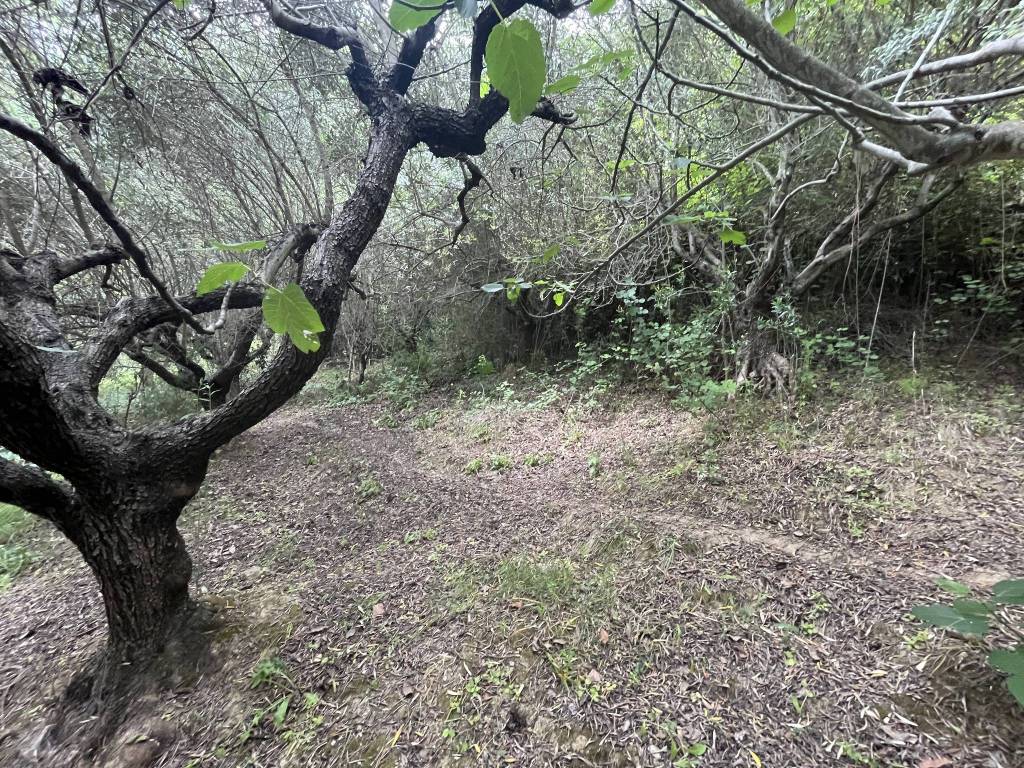 Terreno a Pescara in Strada Colle San Donato - Foto 5