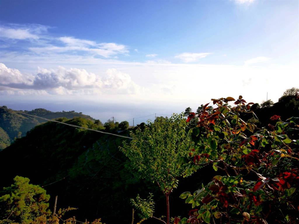 Casa indipendente a Vernazza - Foto 2