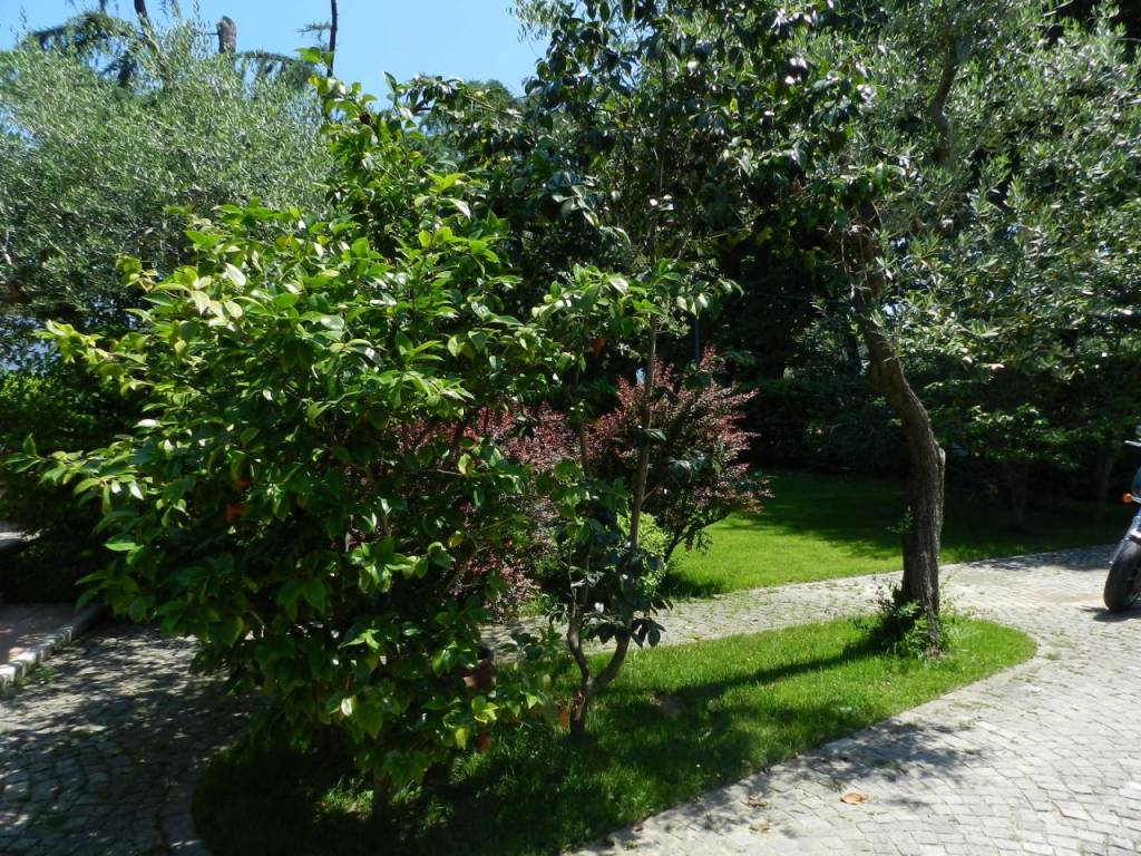 Villa a Pietrasanta in Via Fiumetto, 10 - Foto 2