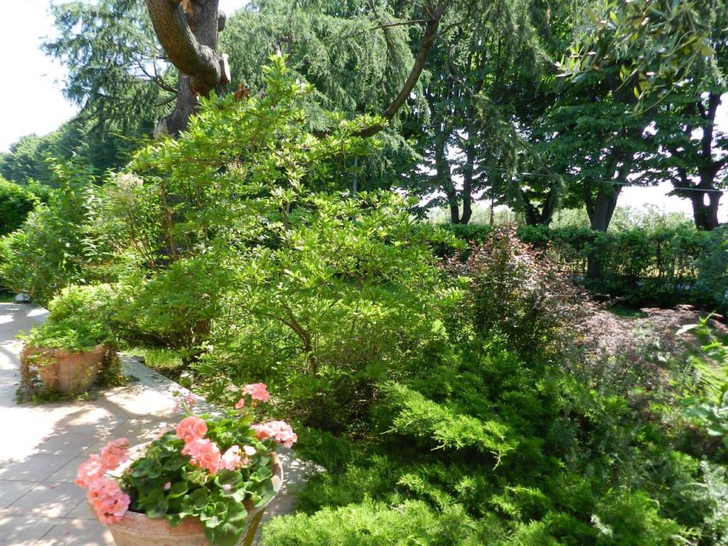 Villa a Pietrasanta in Via Fiumetto, 10 - Foto 5