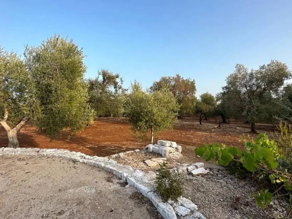 Rustico / casale a San michele salentino in Strada Provinciale 28 S.N.C. - Foto 2