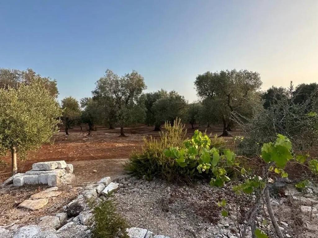 Rustico / casale a San michele salentino in Strada Provinciale 28 S.N.C. - Foto 3