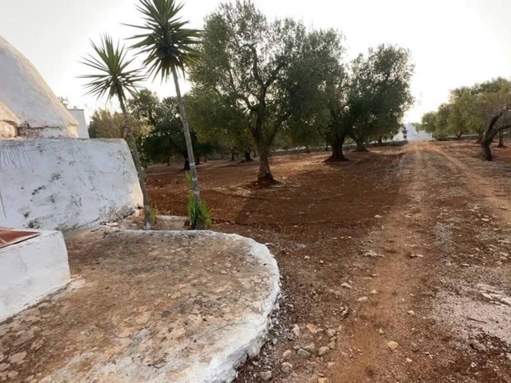 Rustico / casale a San michele salentino in Strada Provinciale 28 S.N.C. - Foto 5