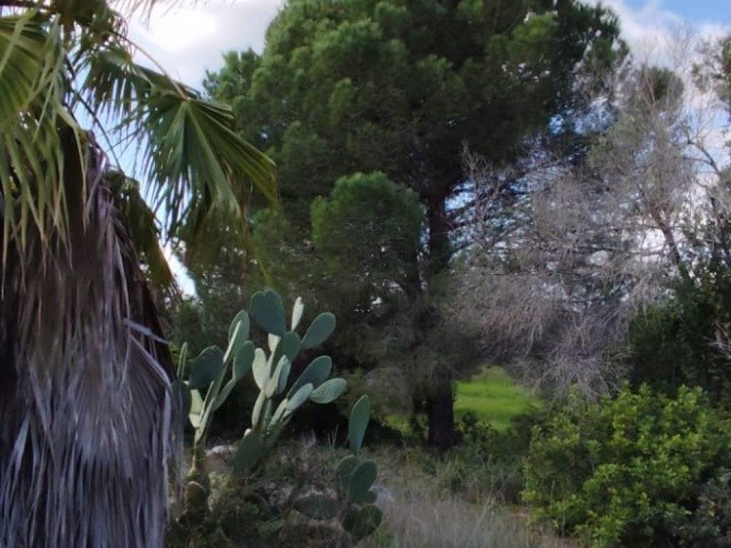 Rustico / casale a Morciano di leuca in SS274 - Foto 4