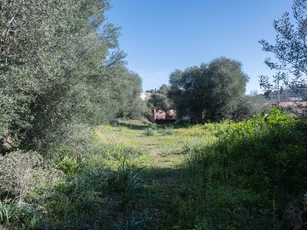Rustico / casale a Loiri porto san paolo in Via A. Vincentelli - Foto 2