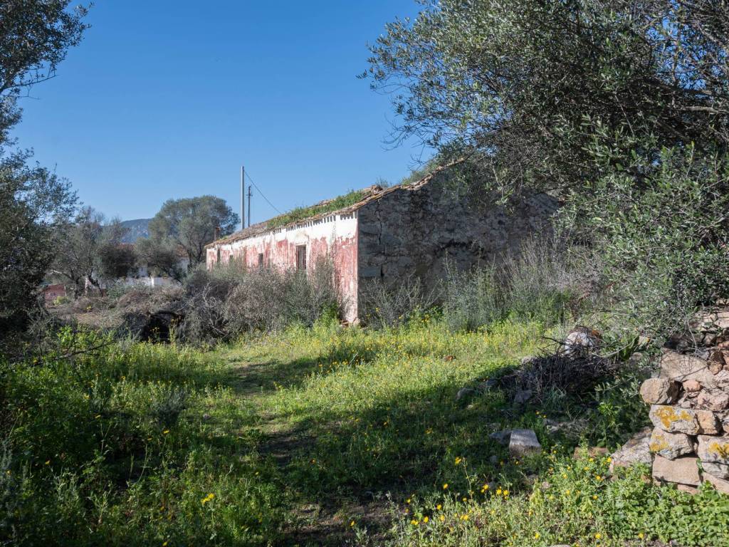 Rustico / casale a Loiri porto san paolo in Via A. Vincentelli - Foto 3