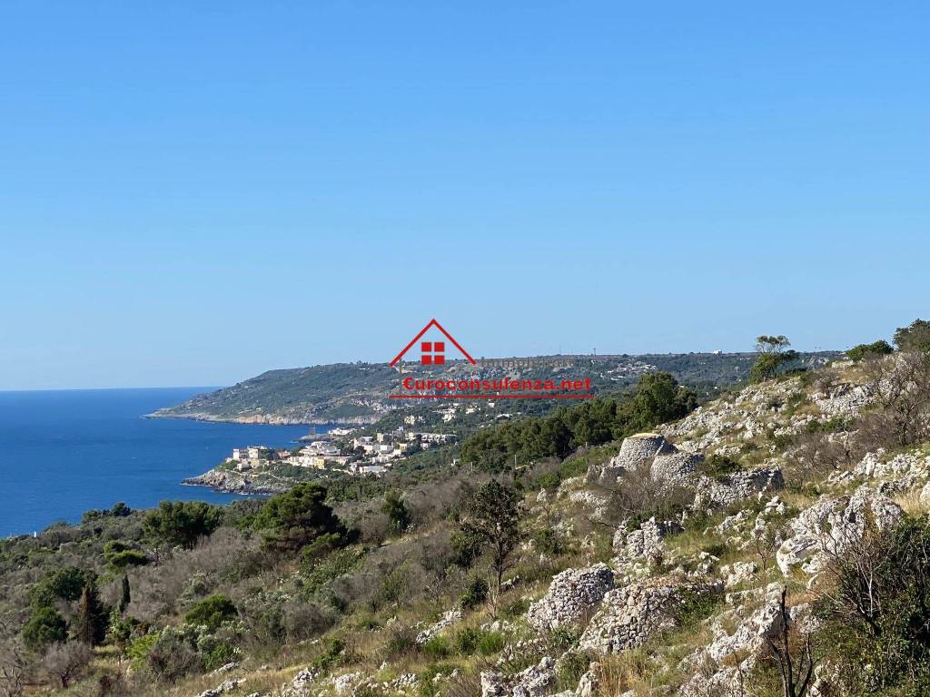 Terreno a Tricase in Strada Vicinale Serra Romagni - Foto 4