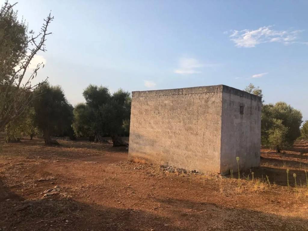Rustico / casale a Ostuni in Strada Provinciale 21 S.N.C. - Foto 5