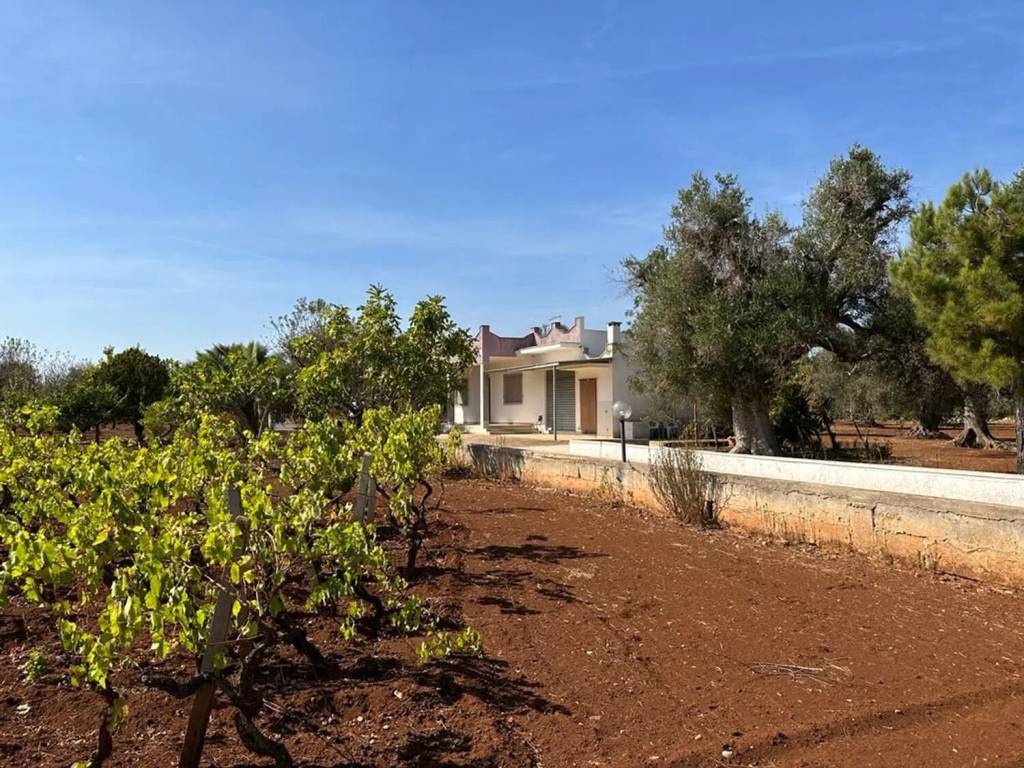 Villa a San michele salentino in Contrada Sardella S.N.C. - Foto 2