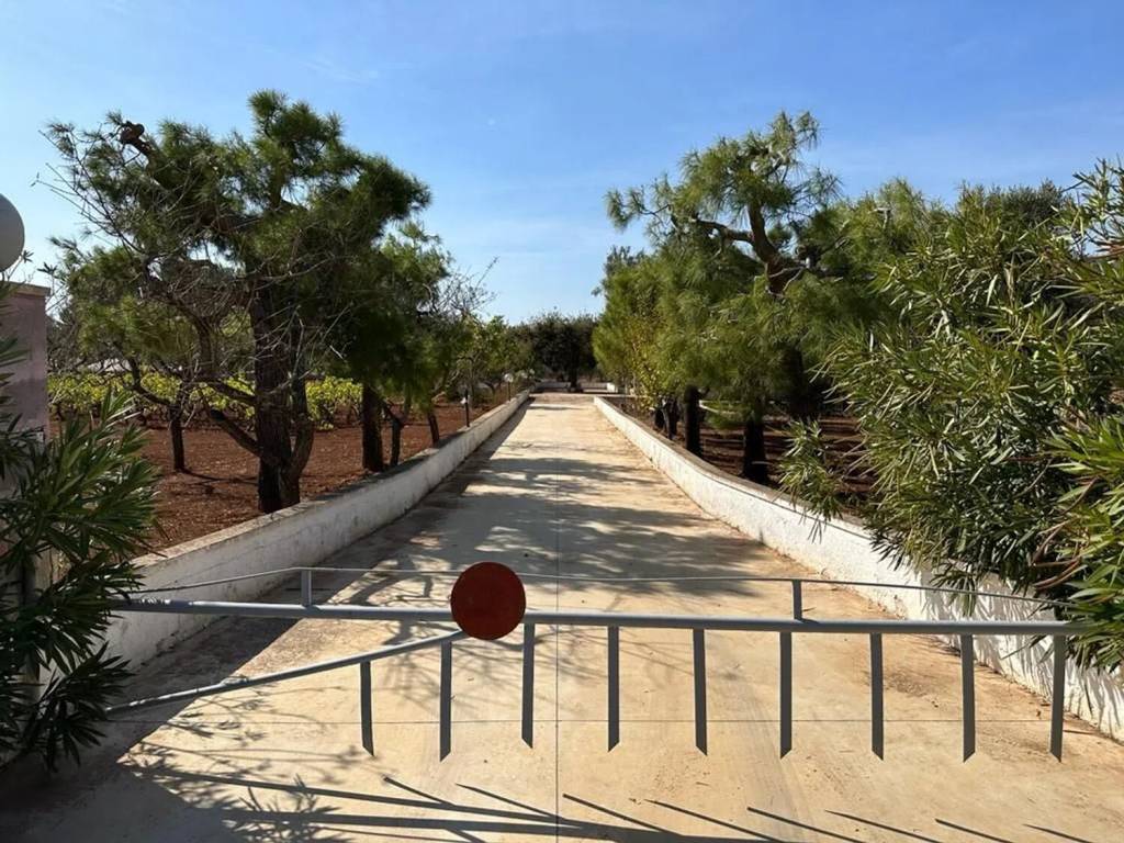 Villa a San michele salentino in Contrada Sardella S.N.C. - Foto 5