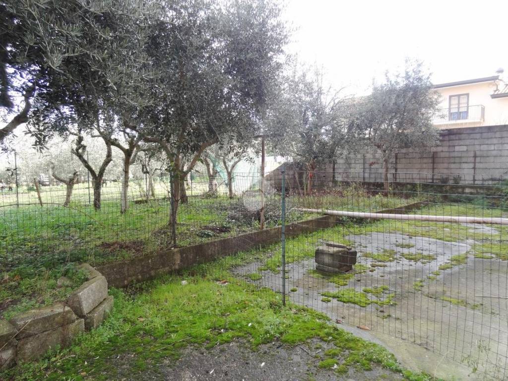 Appartamento a Calvi in via campofreddo, 9 - Foto 3
