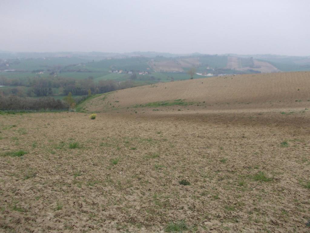 Casa indipendente a Ostra - Foto 2